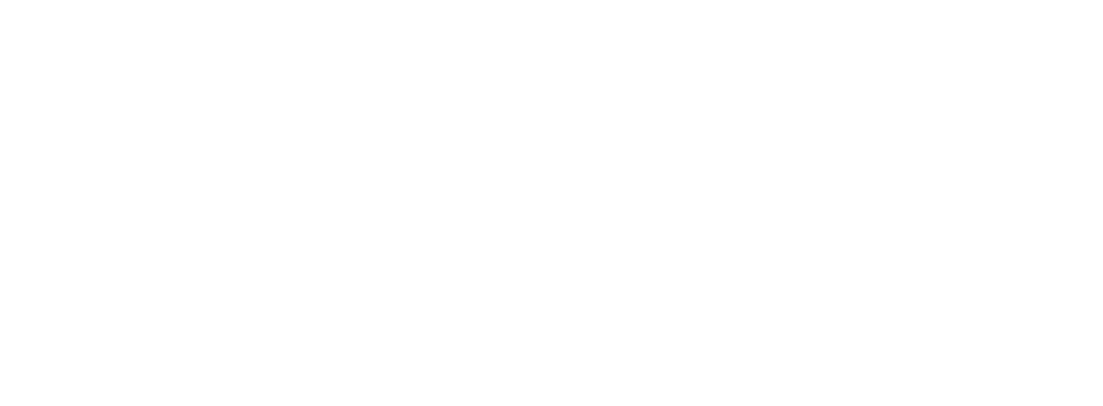 Bussus Logo
